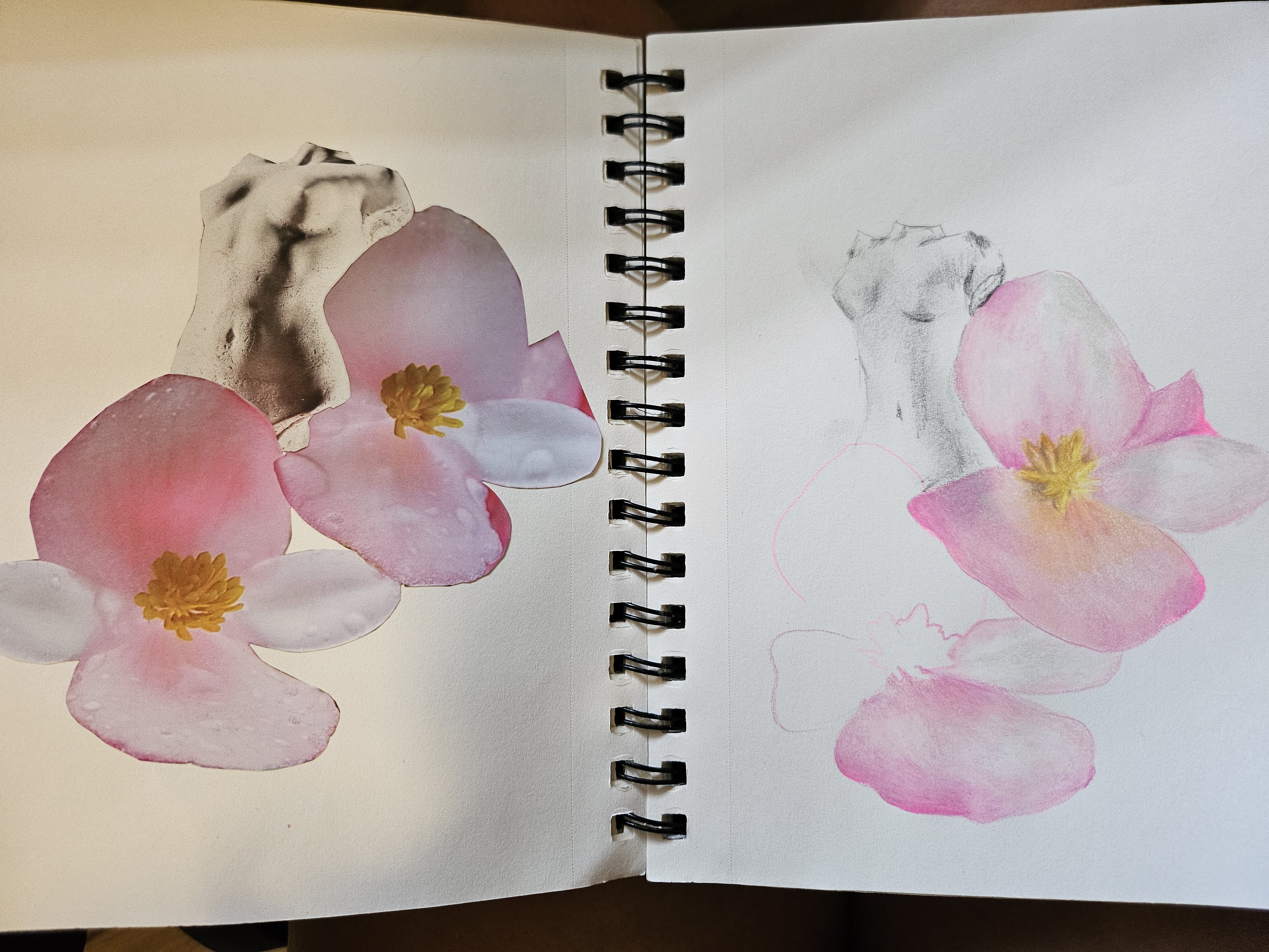 figure study